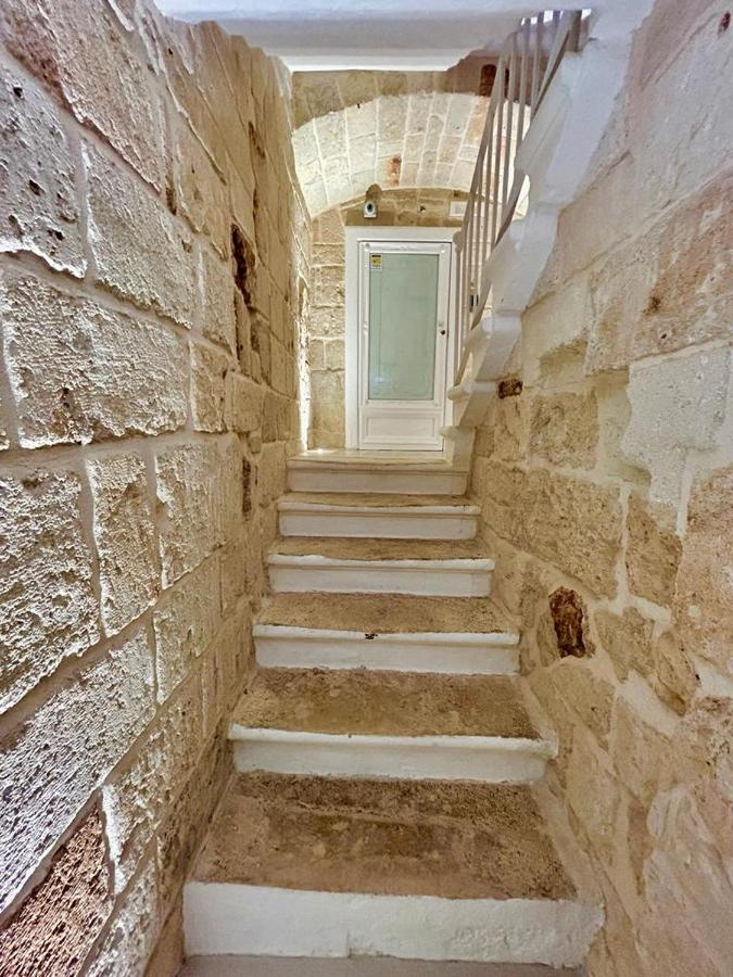 La Vitagira مونوبولي المظهر الخارجي الصورة